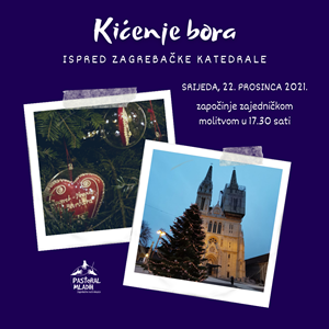 Kićenje bora ispred zagrebačke katedrale